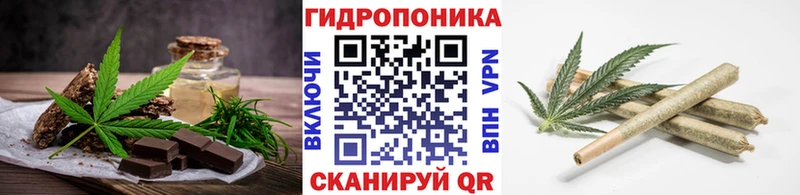 купить наркотики цена  kraken ТОР  Печенье с ТГК конопля  Александровск-Сахалинский 