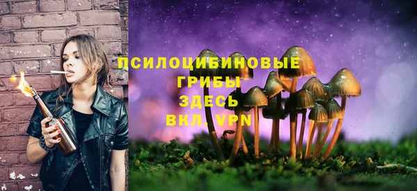 мескалин Абдулино