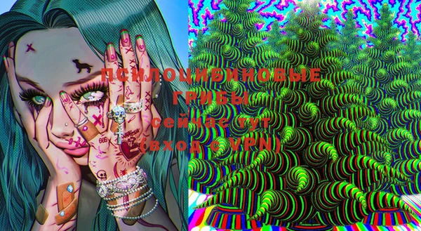 spice Пересвет