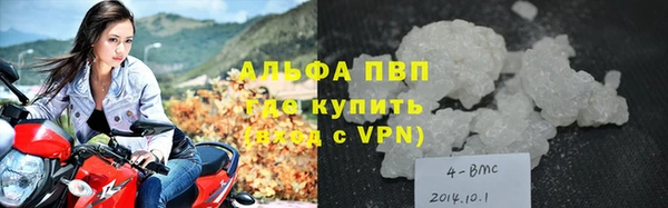 стаф Пестово