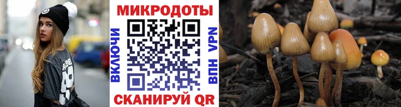 Псилоцибиновые грибы Magic Shrooms  Александровск-Сахалинский 