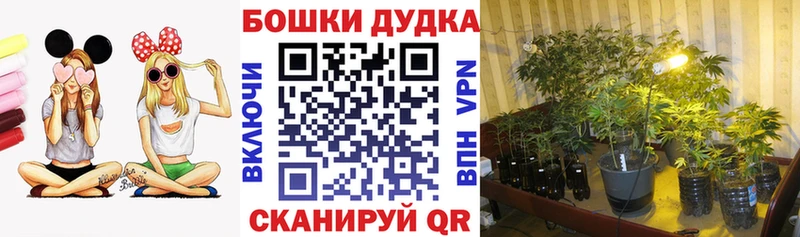 цена   darknet как зайти  Канабис планчик  Александровск-Сахалинский 